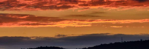 kowaly5 Profile Banner
