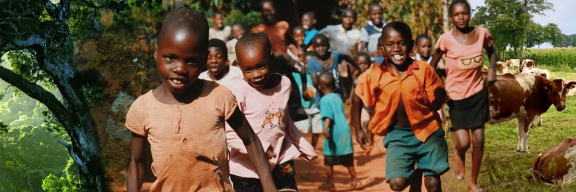 Doneer Effectief banner