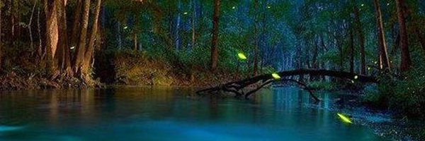 LuckyL13 Profile Banner