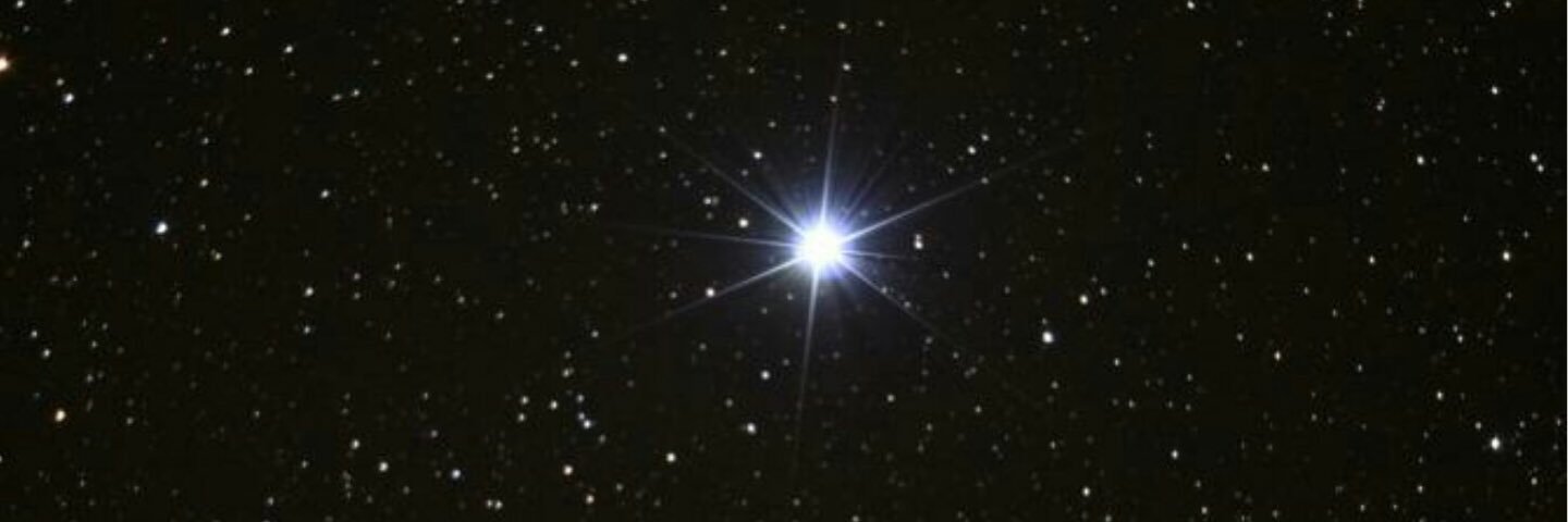 Rociodmsp's profile banner image