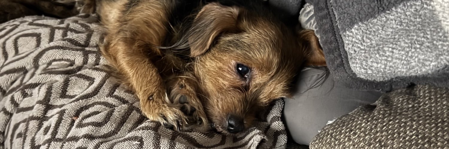 Thomas Miller banner