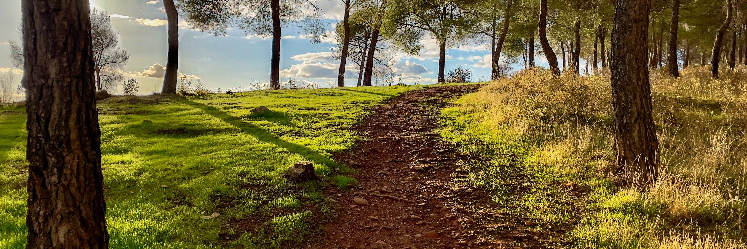 curro_rico's profile banner image
