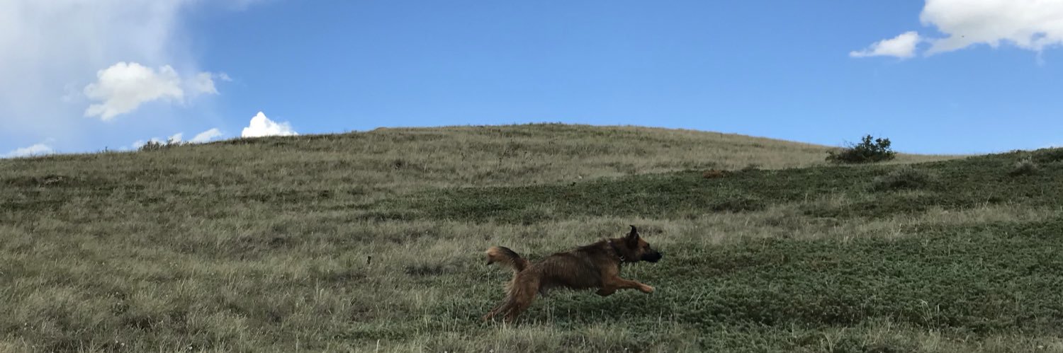 kelslambert's profile banner image