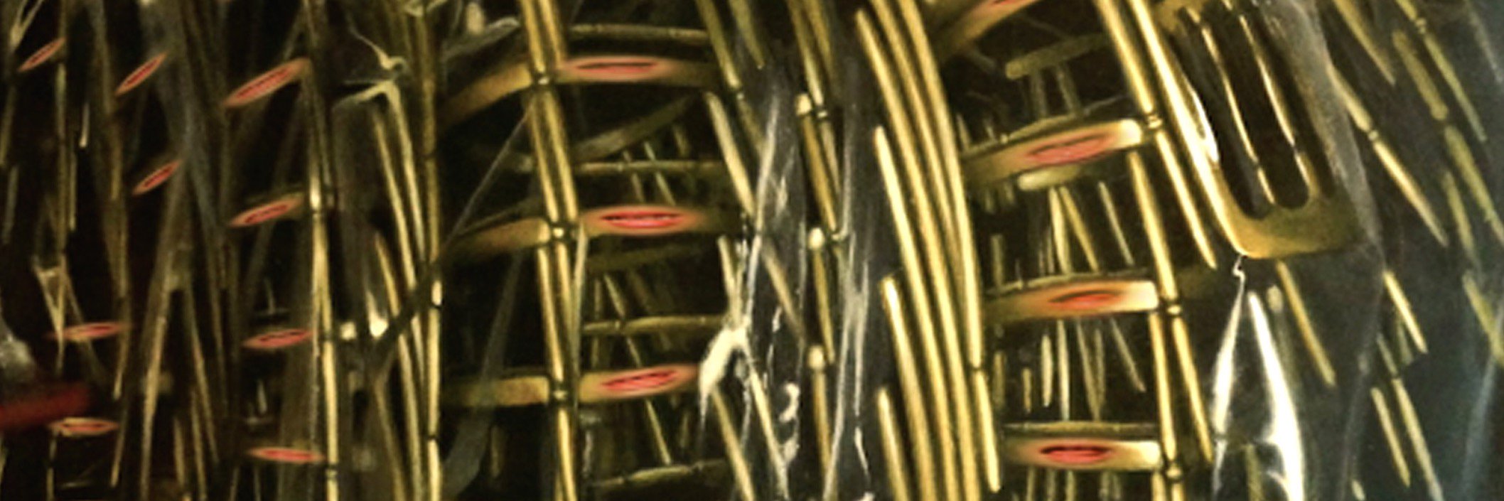 Lexi Strauss banner