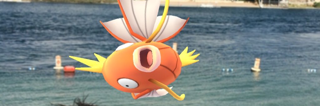 EpicSplashStore's profile banner image