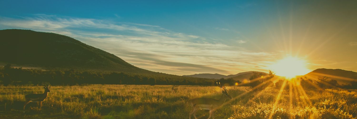 TheHighest_Noon's profile banner image
