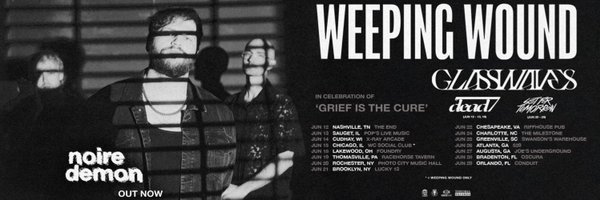 weepingwoundfl Profile Banner