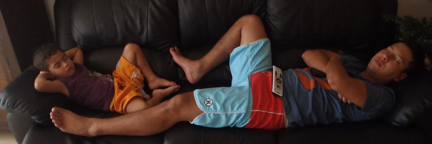 dani3leitor's profile banner image