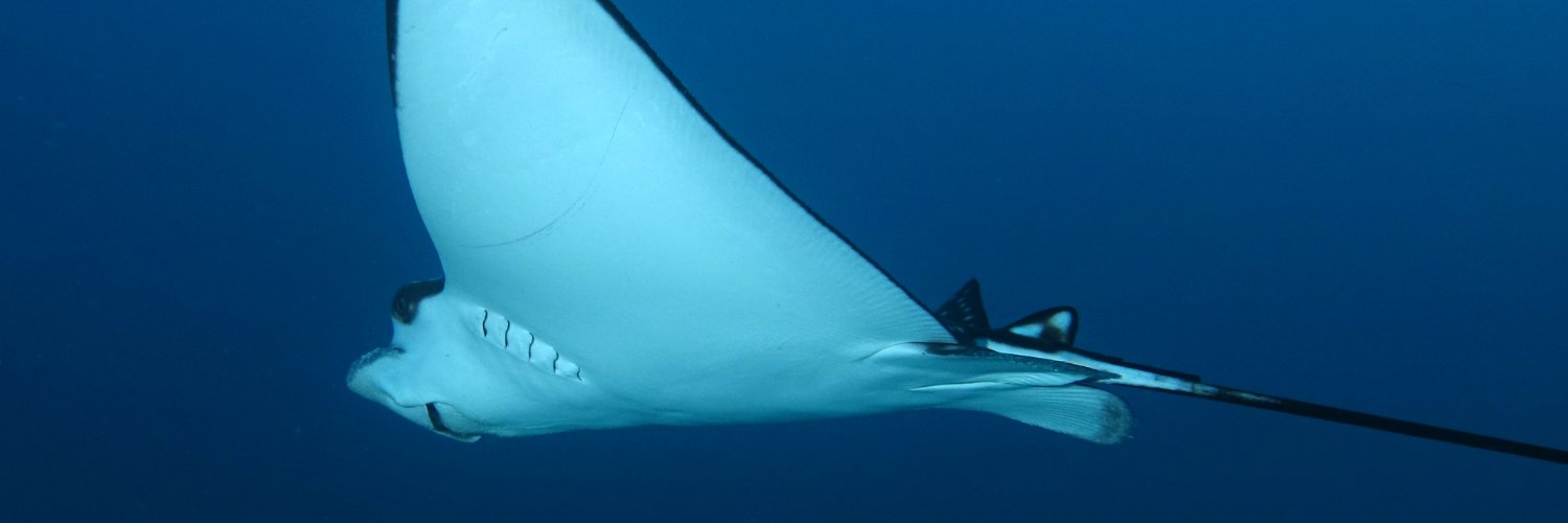 MoritzerW's profile banner image