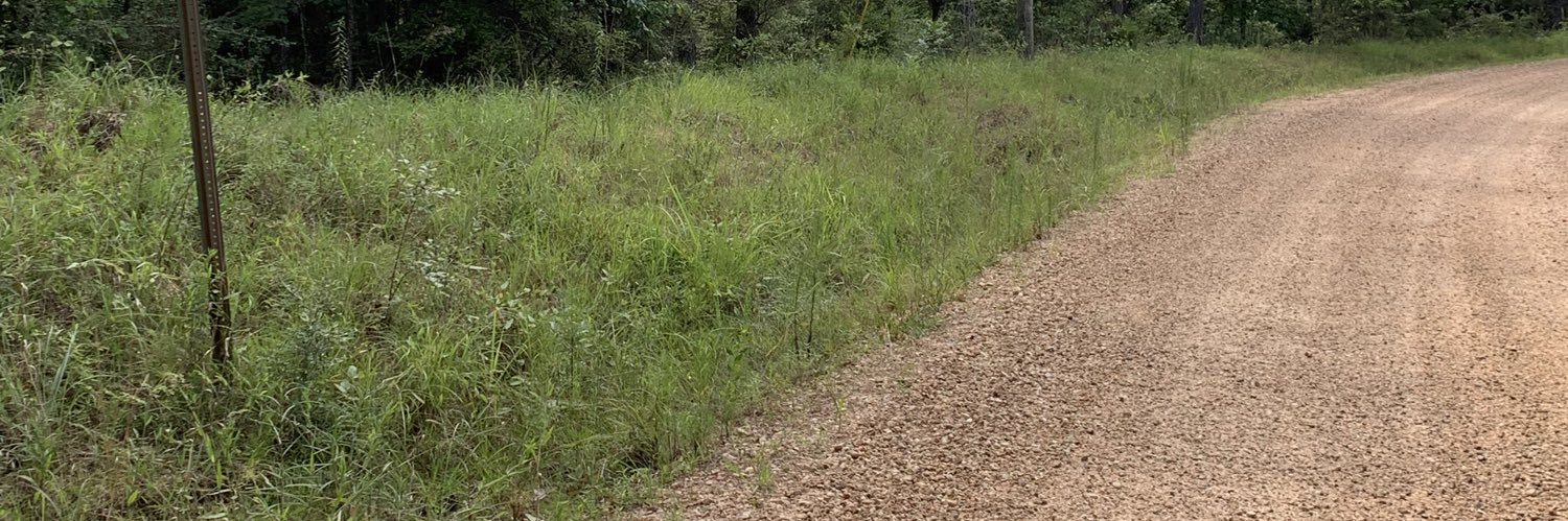 MissCM01's profile banner image