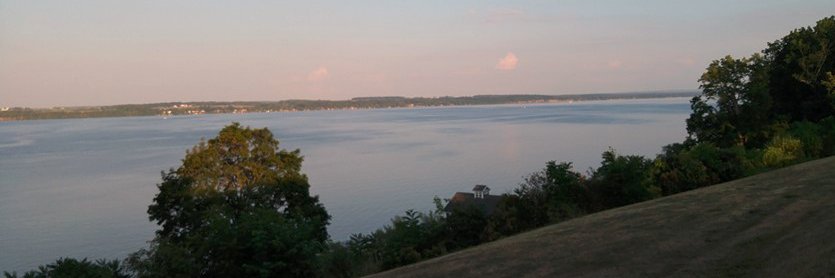 Dread Hochuli (SKATE IT BACK) banner