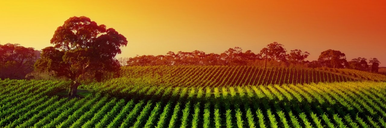 2K18 Locker Codes banner