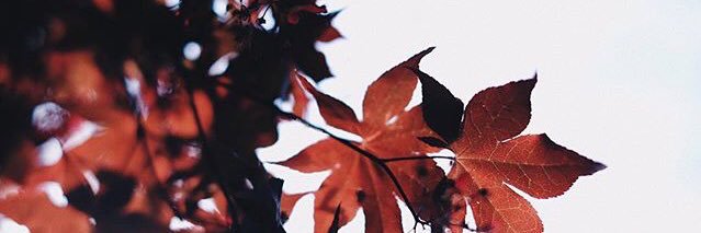 Baby_namthip's profile banner image