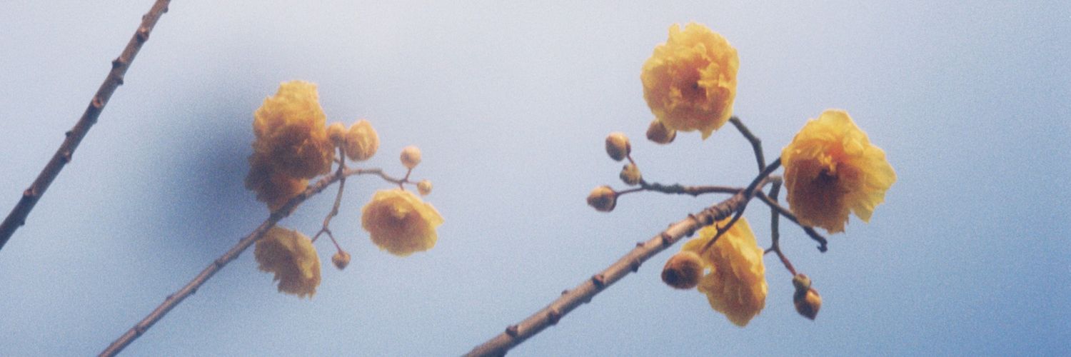 ☁️ banner