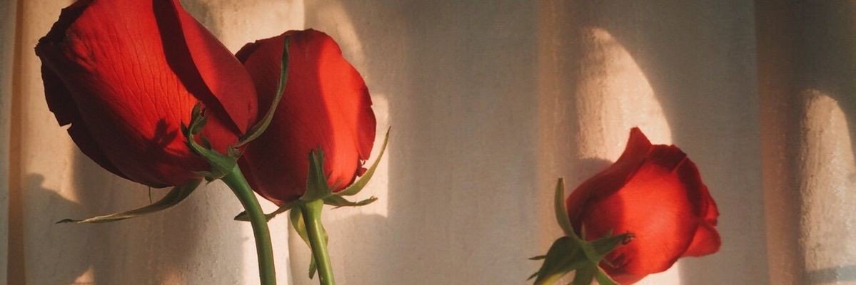 soojncah's profile banner image