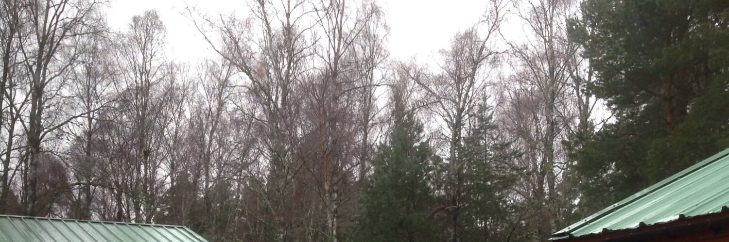 PEatCanalView banner