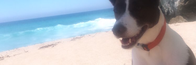 diegocalongg's profile banner image