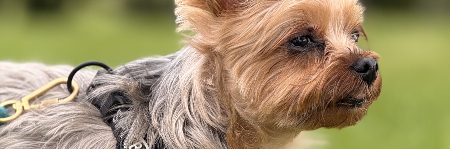 飯田和孝(Kazutaka Iida) banner