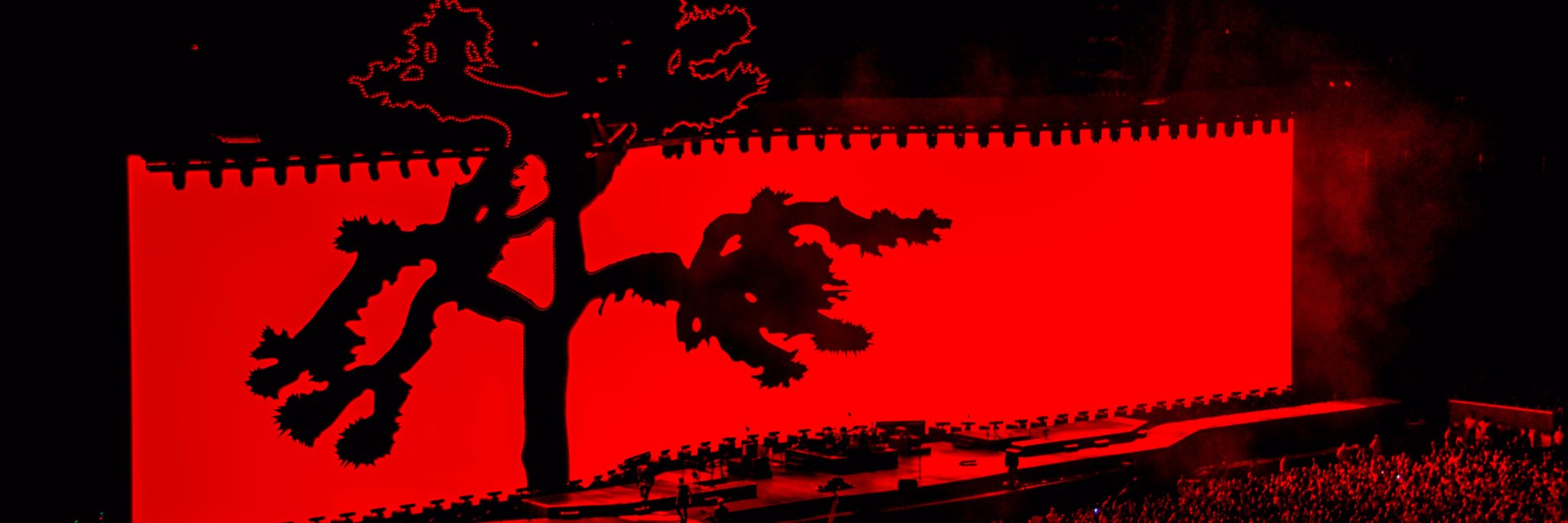 Daniel Jack Paproth banner