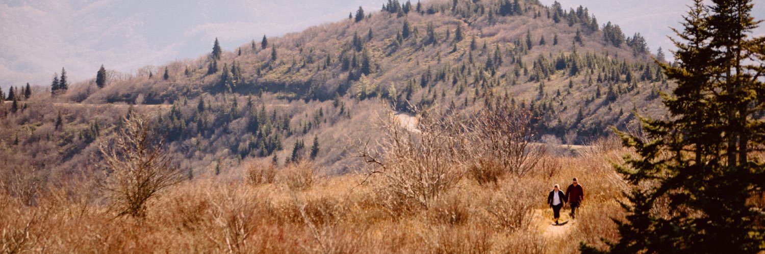 allielhogan's profile banner image