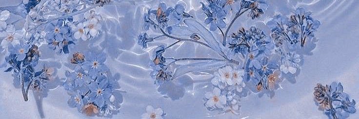 Louminere's profile banner image