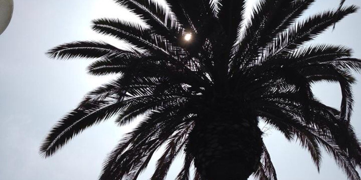 CorrieHemry's profile banner image