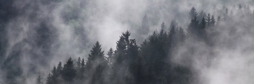 TonycarnavaleV's profile banner image