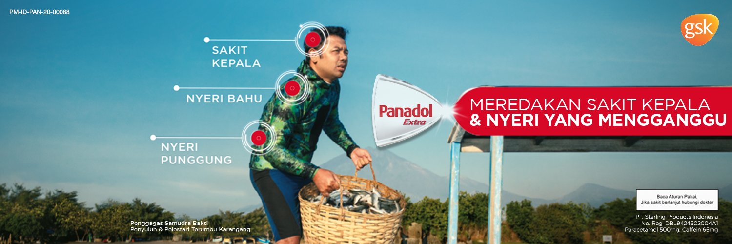 Panadol Indonesia banner