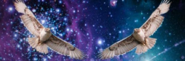 theheadies Profile Banner