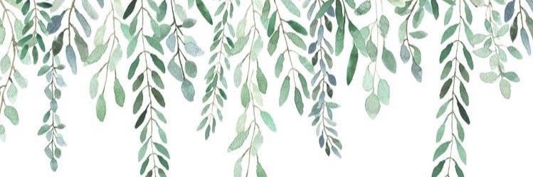 mandasnell's profile banner image
