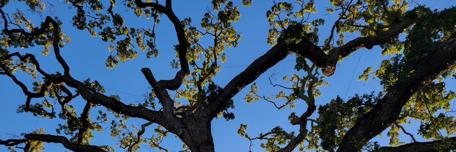 ckwu's profile banner image