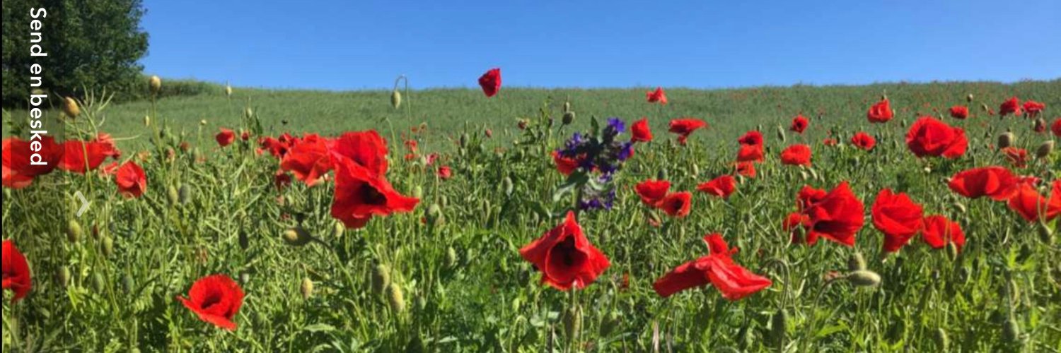 Lars J. Østergaard banner