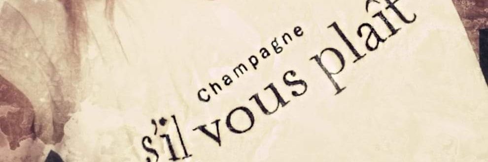 Michaelle Dioni banner