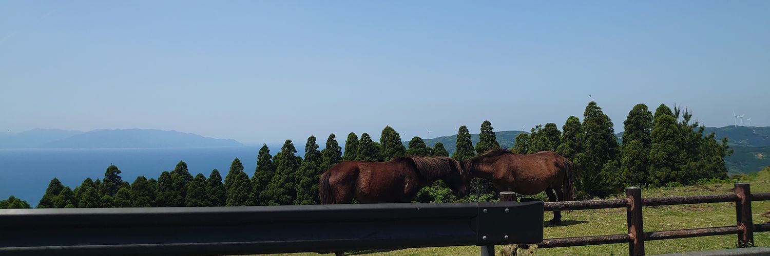 togari_n's profile banner image