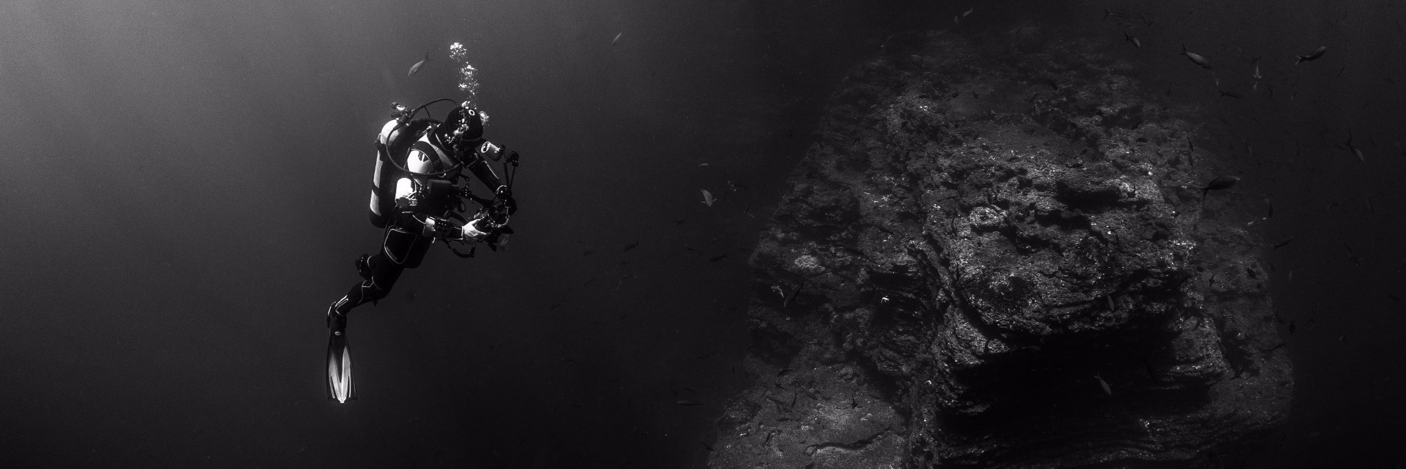 Phil Clarkson banner