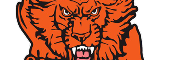 GHSLionBaseball Profile Banner