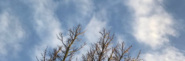 yr5melthamce Profile Banner