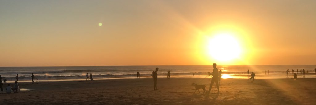 alicebudi's profile banner image