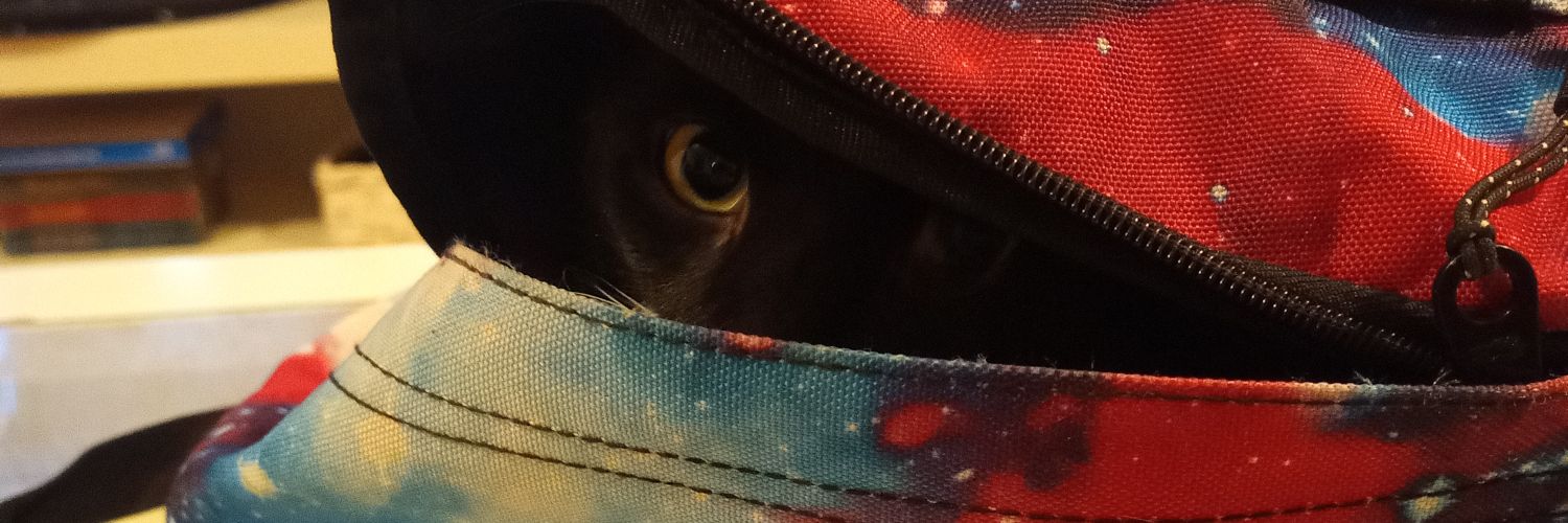 Vinnie84259's profile banner image