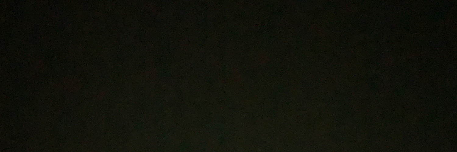 sisildiaz's profile banner image