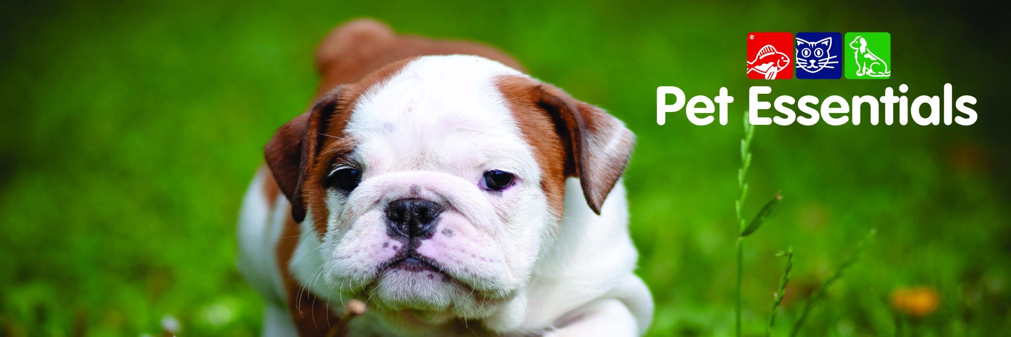 PetEssentials1's profile banner image