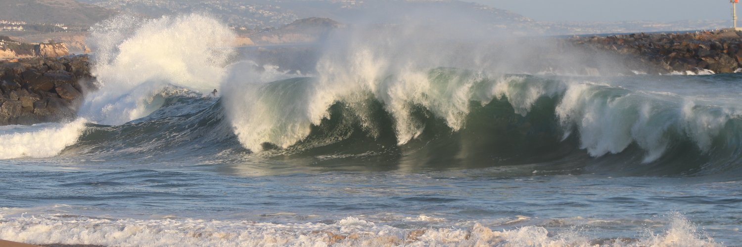 Charlott Rubach @charlottrubach@bsky.social banner