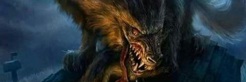 pm72585's profile banner image