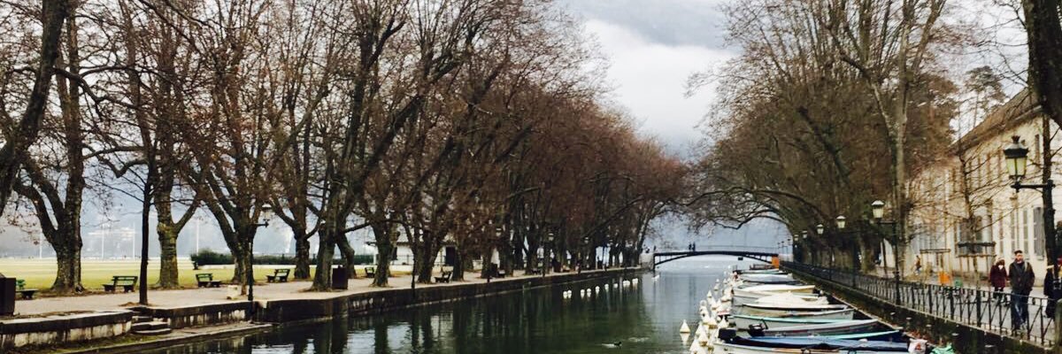 Sarah_Zemp's profile banner image