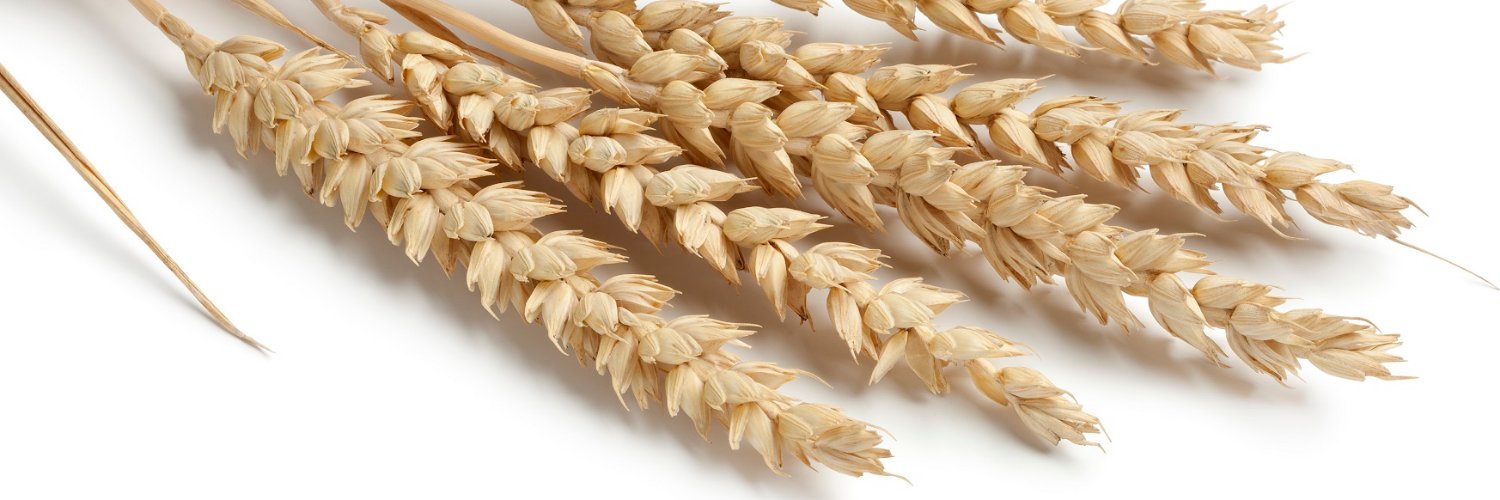 Life's Simple Ingredient🌾 banner