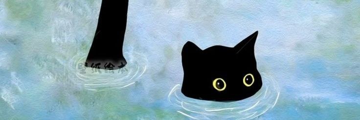 pau banner