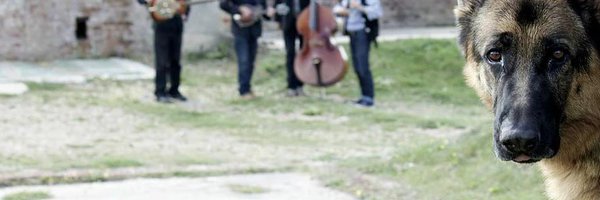 scottwarmanbass Profile Banner