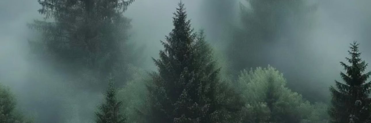 glctyt's profile banner image