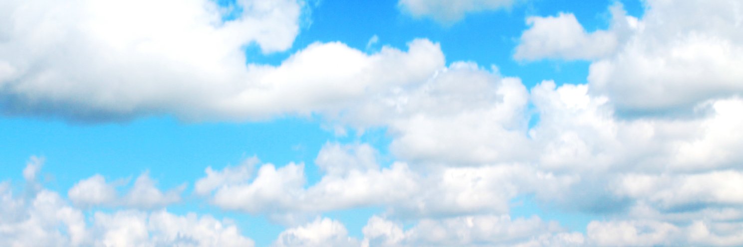 ayonelia's profile banner image