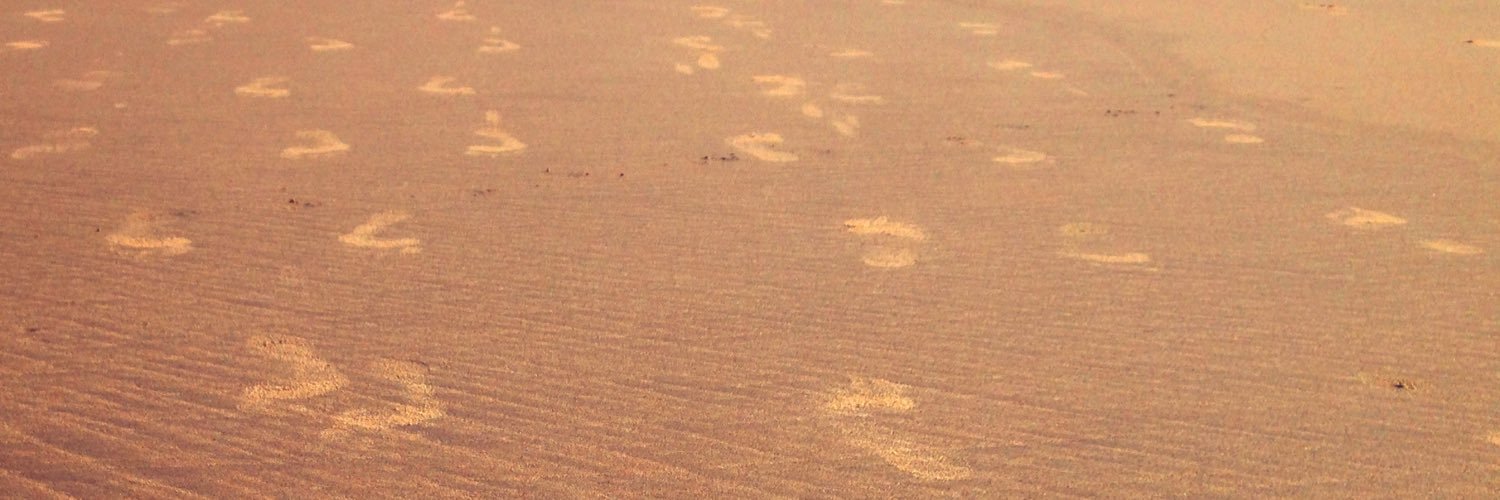 lusemusik's profile banner image